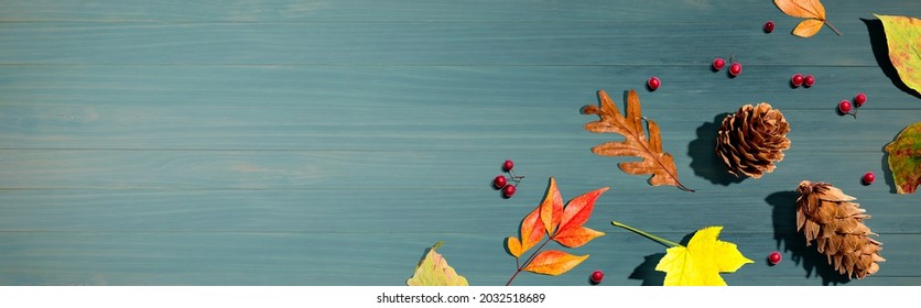 Colorful Autumn Leaves With Pinecones Overhead View - Flat Lay