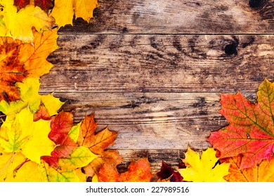 Colorful Autumn Leaves Wood Background Stock Photo 227989516 | Shutterstock