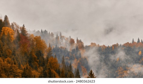 Colorful autumn morning in the Carpathian mountains. Ukraine, Europe. - Powered by Shutterstock