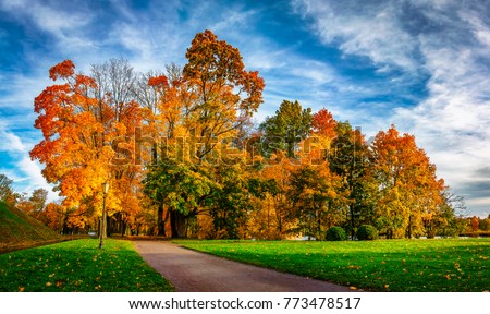 Colorful autumn park in sunny bright day. Beautiful autumn landscape with yellow and red trees. Scenery colored nature