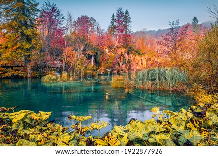 Colorful autumn scenery. Splendid morning view of pure water waterfall in Plitvice National Park. Stunning autumn scene of Croatia, Europe. Beauty of nature concept background.