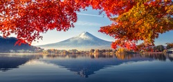 Bunte Herbstsaison Und Berg Fuji Mit Morgenneg Und Roten Blättern Am Kawaguchiko See Ist Einer Der Besten Orte In Japan