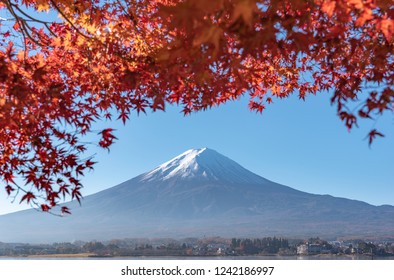 Colorful Autumn Season at Mountain Fuji with morning light fog and maple red leaves at lake Kawaguchiko Yamanashi Prefecture is one of tourist spot in Japan.