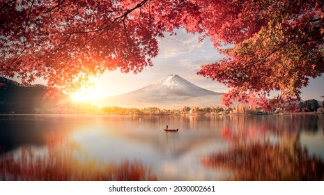 Colorful Autumn Season and Mountain Fuji with morning fog and red leaves at lake Kawaguchiko is one of the best places in Japan - Shutterstock ID 2030002661