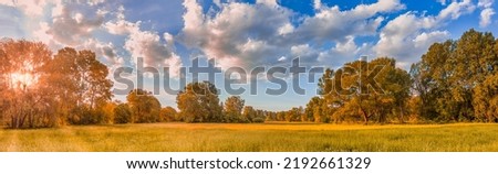 Colorful autumn sunrise on meadow. Panoramic nature landscape, soft pastel colors, dream nature, sunset autumnal background. Forest field, closeup golden grass meadow. Peaceful amazing nature panorama
