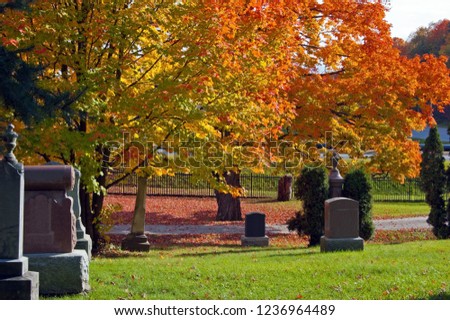 Colorful autumn trees on King city cemetery