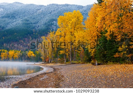 Colorful autumn trees on shore of Lake McDonald, Glacier National Park, Montana