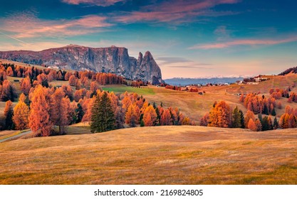 Colorful autumn view of Alpe di Siusi ski resort with beautiful orange larch trees. Majestic sunrise in Dolomite Alps, Ortisei locattion, Italy, Europe. Beauty of countryside concept background. - Shutterstock ID 2169824805