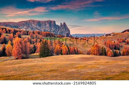 Colorful autumn view of Alpe di Siusi ski resort with beautiful orange larch trees. Majestic sunrise in Dolomite Alps, Ortisei locattion, Italy, Europe. Beauty of countryside concept background.