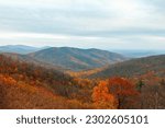 Colorful autumn view of Blue Ridge mountain ridges from Skyline Drive in Shenandoah National Park. Virginia. USA