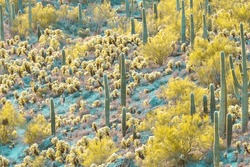 Colorful And Beautiful Sunset Over Gates Pass, Tucson, AZ, With Saguaro And Cholla Cactus