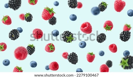 Colorful berry pattern of various fresh ripe wild berries on light blue background. Raspberry, blueberry and blackberry