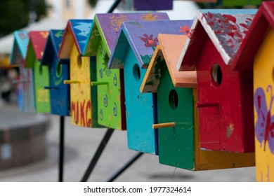 Colorful bird houses. The children painted the birdhouses with different colors and colors. Bright photo. Wildlife, animals and birds. Habitat. 