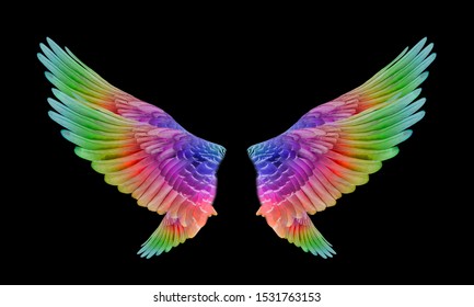 Colorful Bird Wings Set Isolated  On Black Background