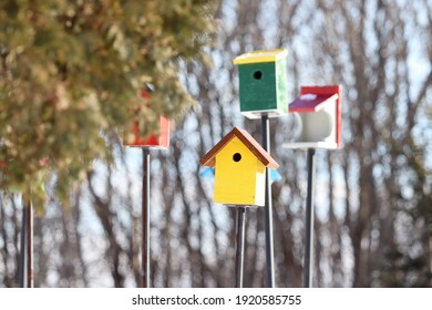 Colorful Birdhouse In A Park
