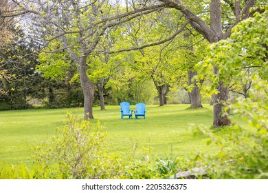 Colorful Blue Adirondack Chairs In A Park