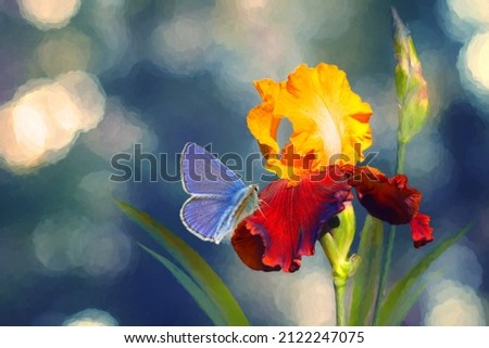 Colorful blue butterfly on beautiful iris flower in the garden. Aquarelle style. Amazing elegant artistic image nature.