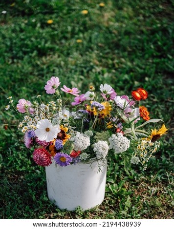 Similar – Female hands holding flower vase with wild flowers