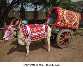 Colorful bullock cart in Maharashtra India