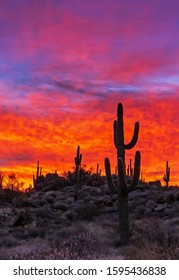 Colorful & Burning Desert Sunrise Sky Landscape With Saguaro Cactus in foreground.