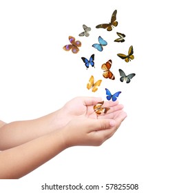colorful butterflies and small hands,flying dream