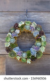 Colorful Cactus Wreath Hanging On Rustic Wooden Wall.