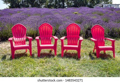 Colorful chairs at the lavender farm in Washington state 