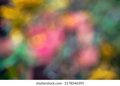 colorful cherry blossom blur background