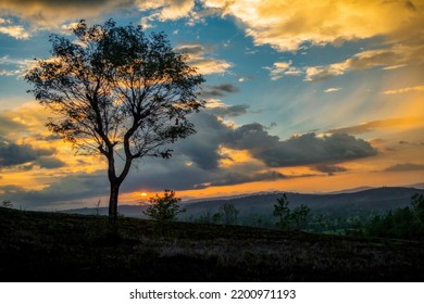 Colorful Cloudy Sky During Sunset With Landscape Hills And Silhouette Of One Big Tree.