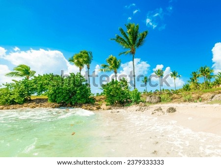 Colorful coast in Gosier shore in Guadeloupe, French west indies. Lesser Antilles, Caribbean sea