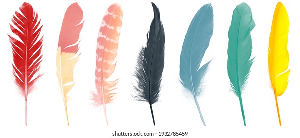 162,073 Yellow Feather Isolated Images, Stock Photos & Vectors ...