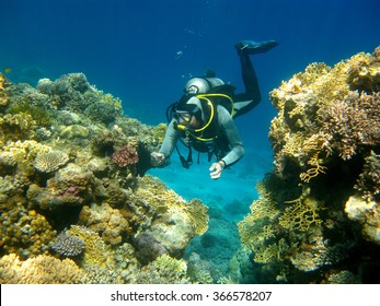 Colorful Coral Reef And Diver In Tropical Sea, Underwater.