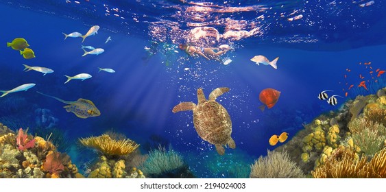Colorful coral reef with many fishes and sea turtle. The people at snorkeling underwater tour at the Caribbean Sea at Honeymoon Beach on St. Thomas, USVI - travel concept - Shutterstock ID 2194024003