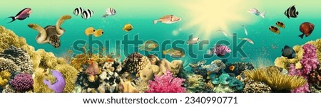 Colorful coral reef with many fishes and sea turtle. The people at snorkeling underwater tour at the Caribbean Sea at Honeymoon Beach on St. Thomas, USVI - travel concept