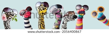 Colorful creative socks in various trendy sunglasses in puppet show on blue background