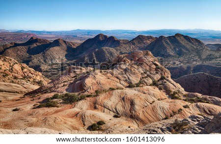 Colorful cross-bedding in Candy Cane Cliffs, near Anna's View Trail in the Yant Flat area of Red Cliffs National Conservation Area, Utah.