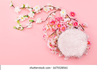  Colorful digital floral background for newborn photography. 