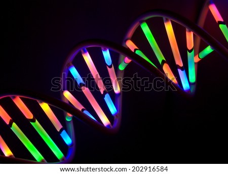 Colorful double helix strand DNA model against a black background