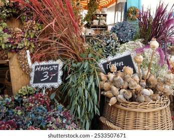 Colorful dried flowers and plants on display at a market stall, featuring vibrant hydrangeas and grasses. - Powered by Shutterstock