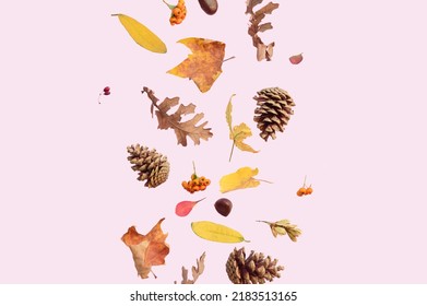 Colorful Dry Leaves Falling On A Pink Background. Nature Aesthetic Flying Leaf Concept. Autumn Wallpaper.