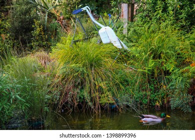 Colorful Duck Swimming On Little Pond Surounded By High Green Grass With Statue Of Bird. Te Anau, South Island, New Zealand.