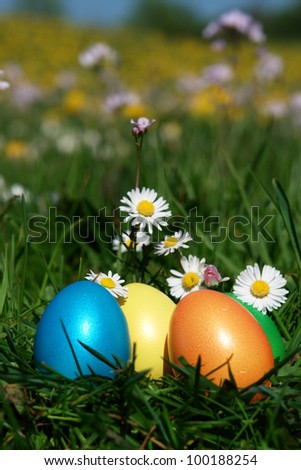 Similar – Easter eggs in a garden