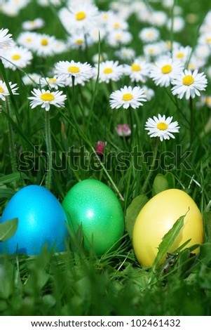 Similar – Easter eggs in a garden