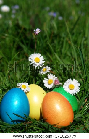 Similar – Easter eggs in a garden