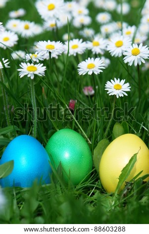 Similar – Image, Stock Photo Easter hunt Joy Happy