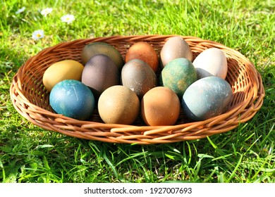Colorful Easter eggs in the basket on green grass. Natural dyed Easter eggs.