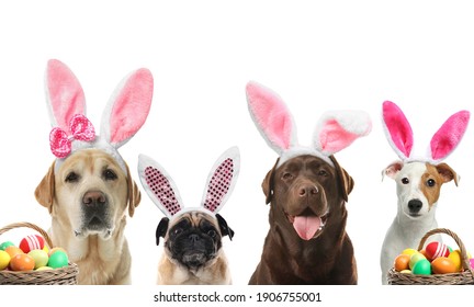 Colorful Easter eggs and cute dogs with bunny ears headbands on white background, collage