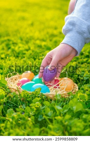 Colorful Easter Eggs in Grass. Finding and collecting Easter eggs in the spring garden.Child Picking Colorful Easter Eggs in Grass.Child Collecting Colorful Easter Eggs in Grass
