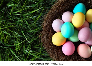 Colorful easter eggs in nest on meadow - Powered by Shutterstock