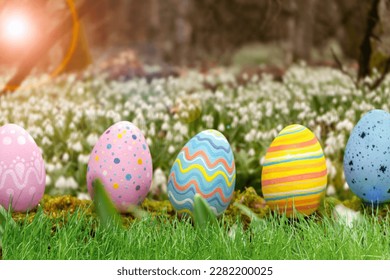 Colorful Easter Eggs on Spring Background
